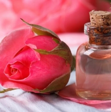 TINH DẦU HOA HỒNG (Rose Oil)